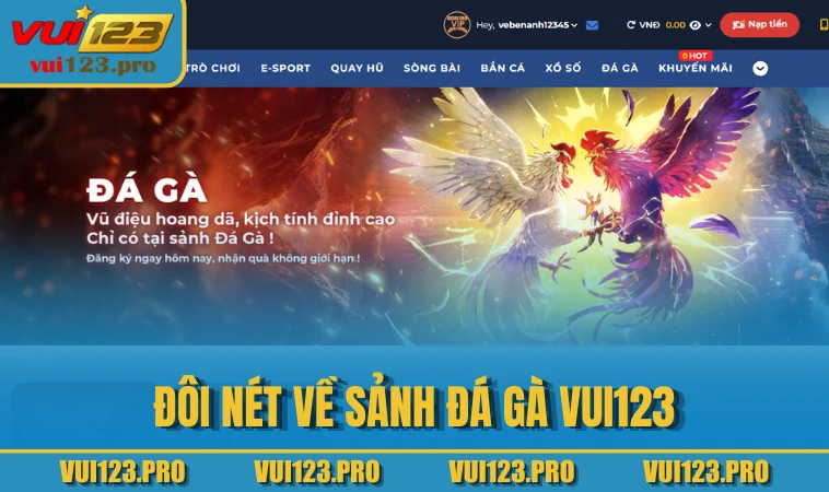 Đôi nét về sảnh đá gà VUI123