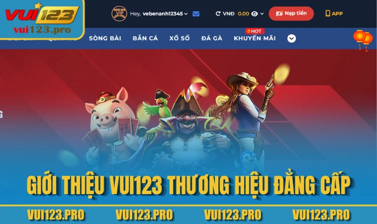 Giới thiệu VUI123 thương hiệu đẳng cấp