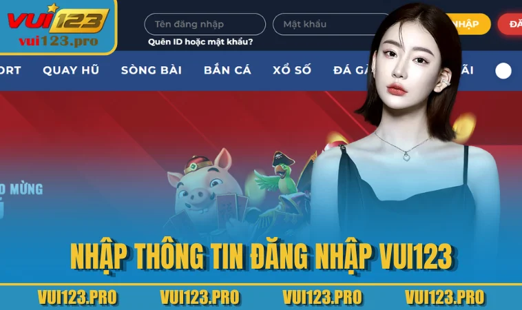 Nhập thông tin đăng nhập VUI123
