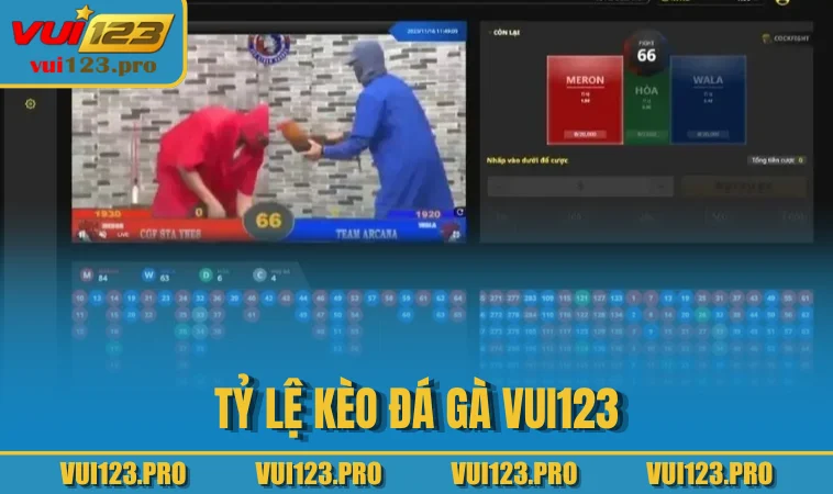 Tỷ lệ kèo đá gà VUI123